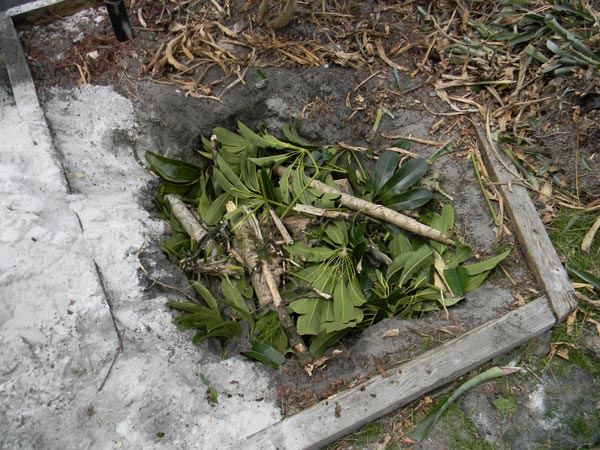 composting storm debris