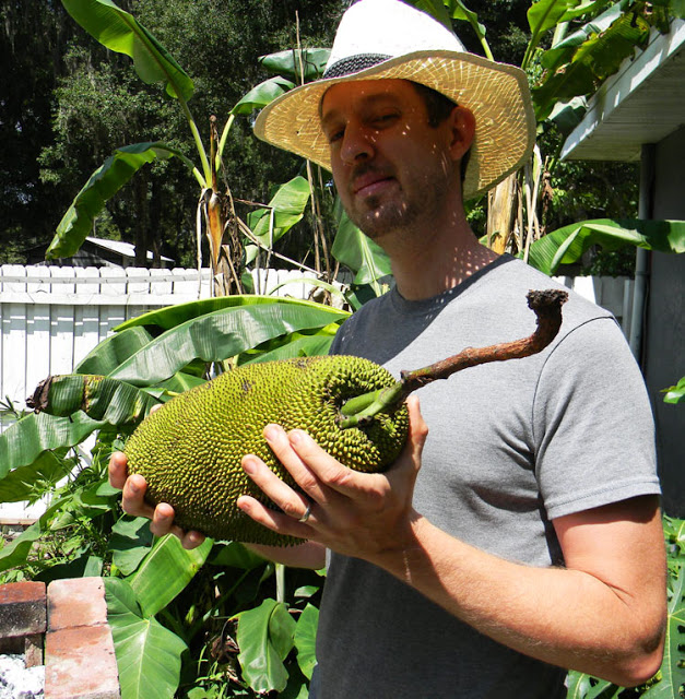 a jackfruit from fort lauderdale