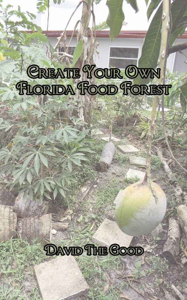 Create Your Own Florida Food Forest cover