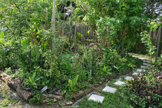 south florida food forest
