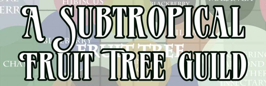 subtropical fruit tree guild
