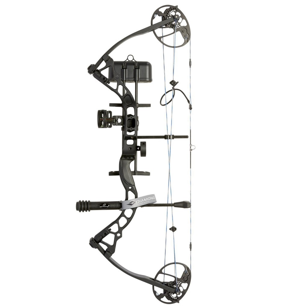 A well-ranked modern compound bow.