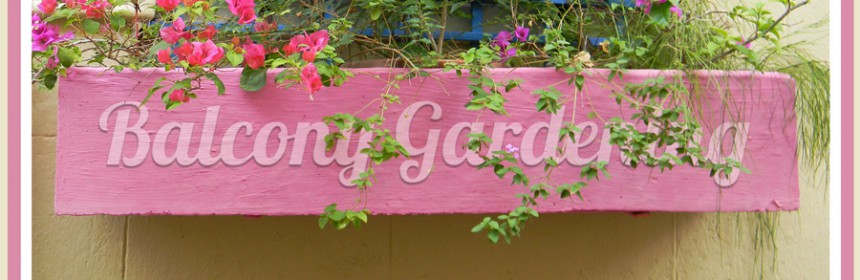 Balcony_Gardening_Balcony_Garden