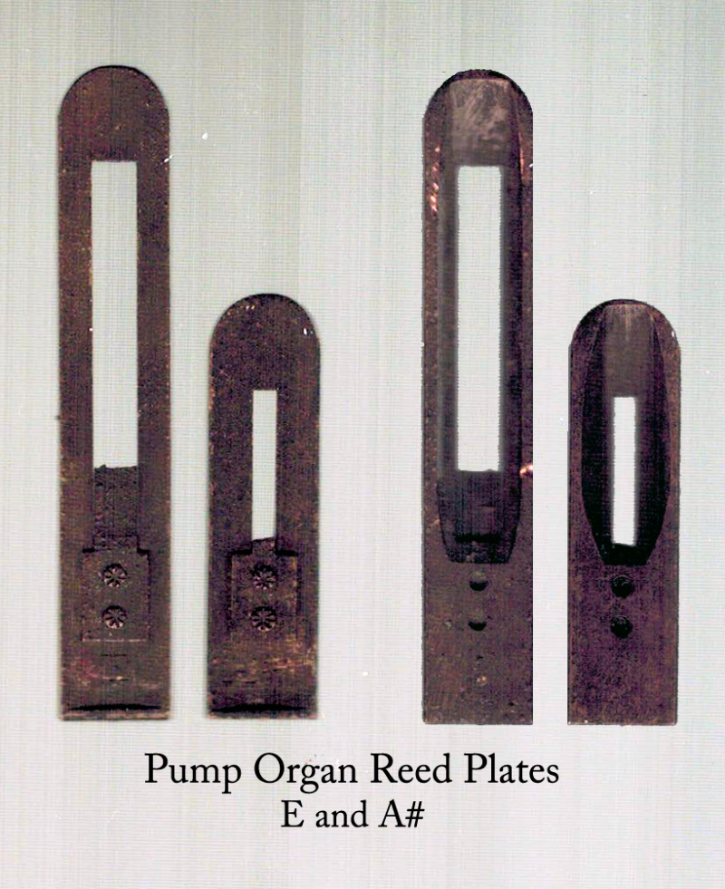 Pump_Organ_Reed_Plants_MetalDetecting