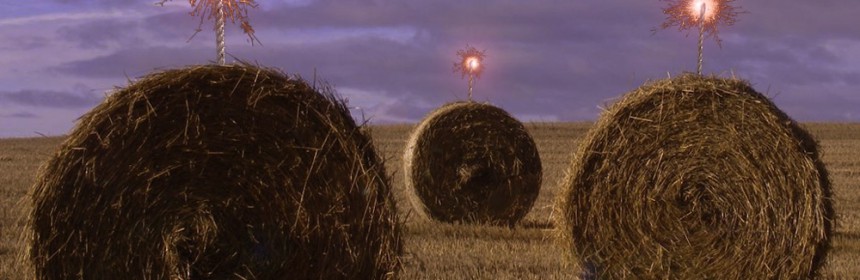 joel karsten straw bale gardening