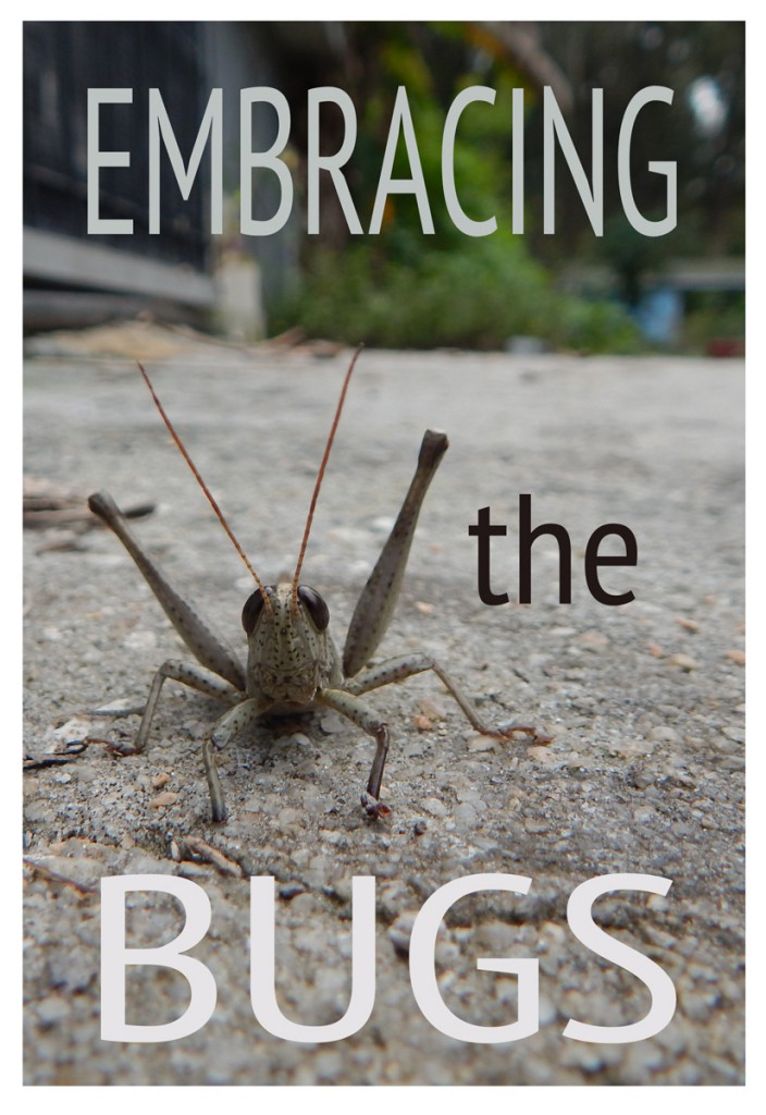 Embracing_The_Bugs