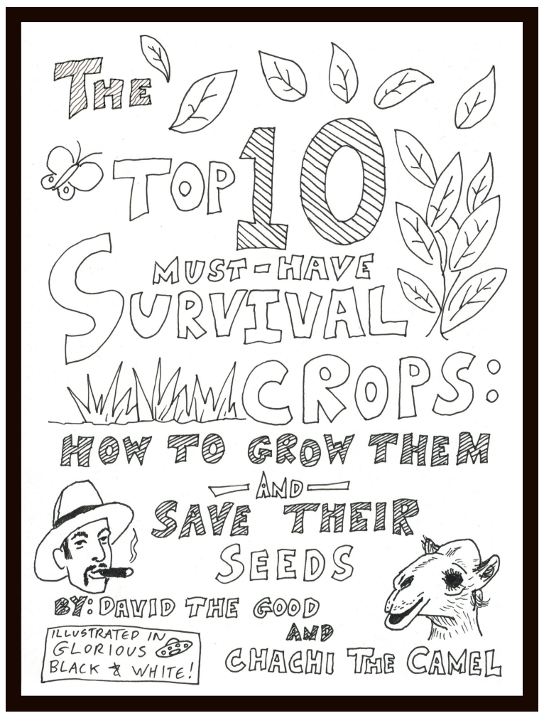Top_10_Survival_Crops