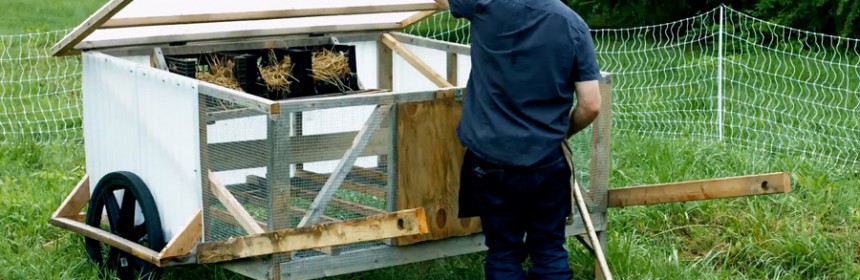 Chicken_Coop_Chicksaw_Justin_Rhodes