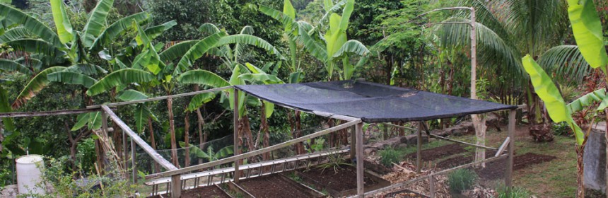 New_Gardens