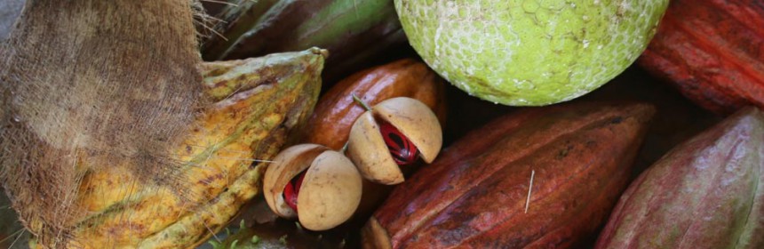 Tropical_Fruits