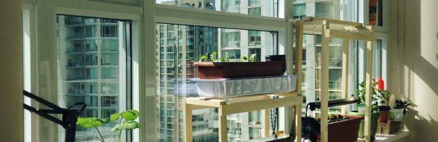 If you don't have enough light coming in, add more with grow lights. Photo credit missellyrh (creative commons license)