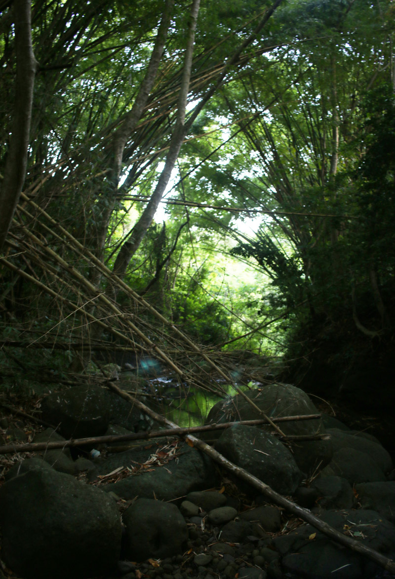Deep-rainforest-river