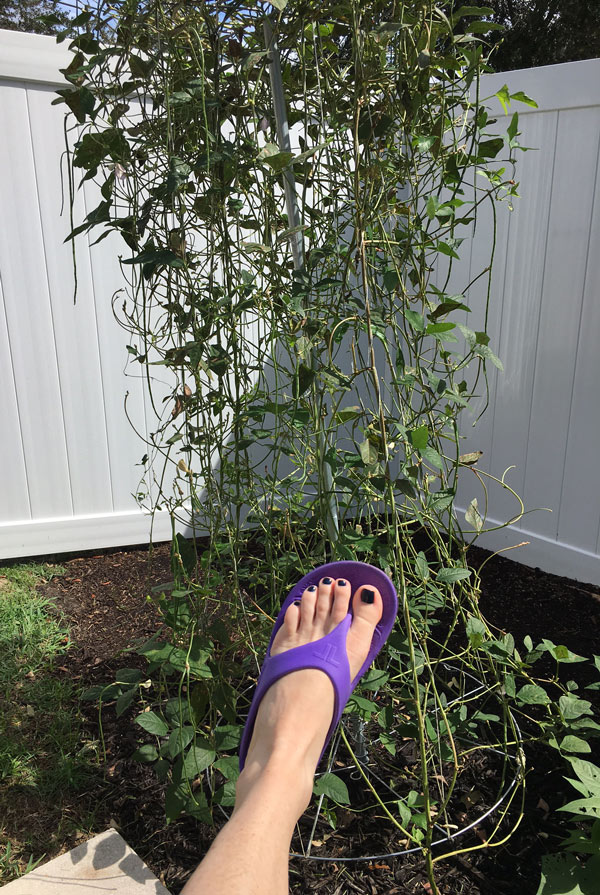 Purple-flip-flop-and-yard-long-beans