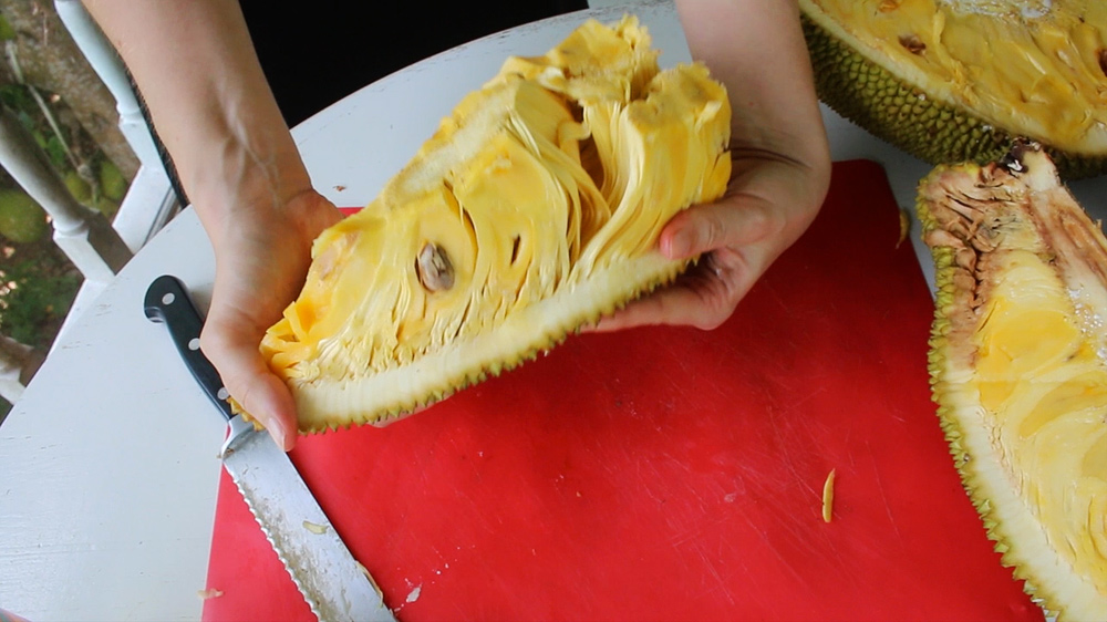 open a jackfruit crack-the-fruit