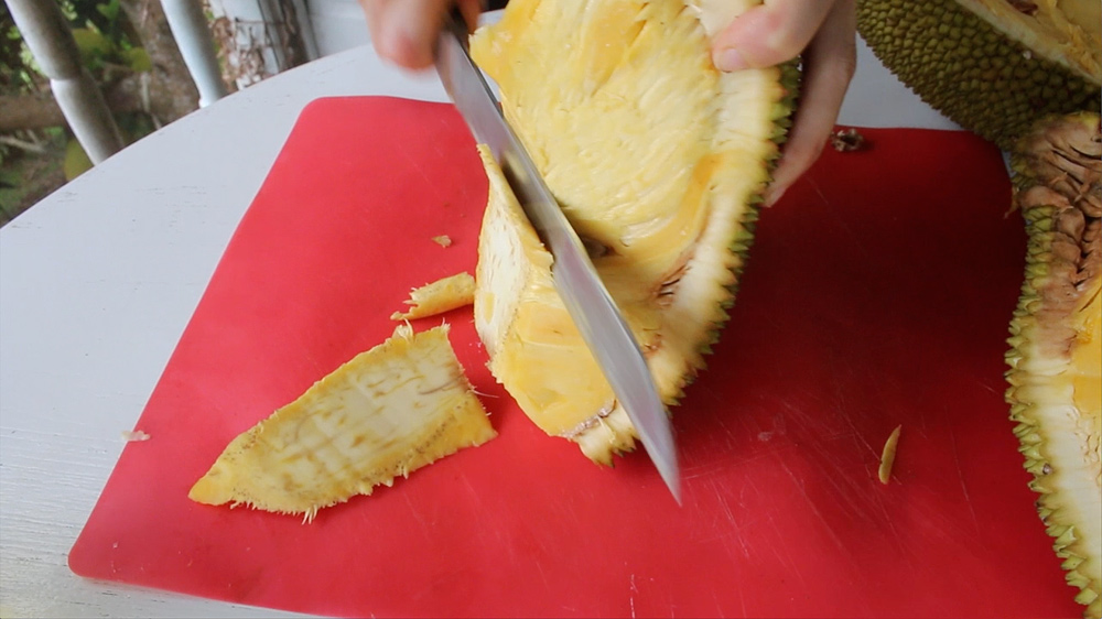 open a jackfruit cut-out-core
