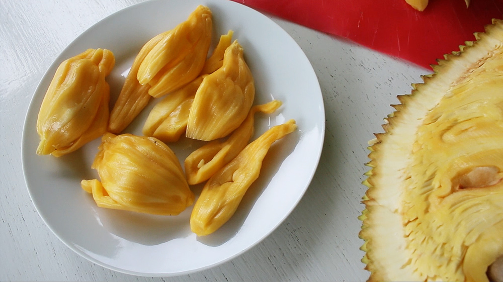sprout jackfruit seed
