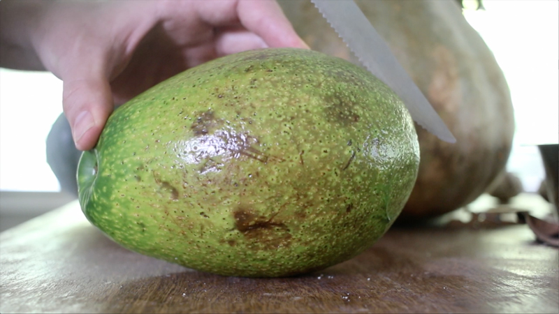 how to Sprout Avocado Pit 
