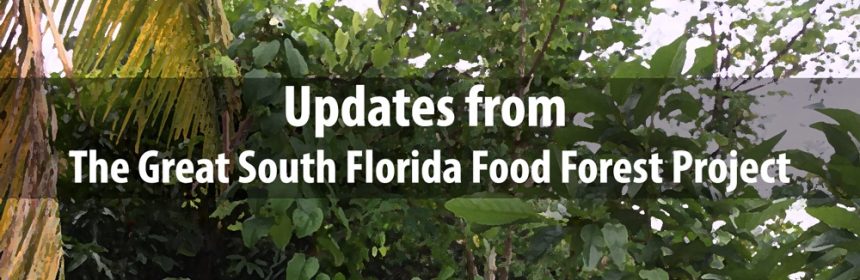 Updates-south-florida-food-forest