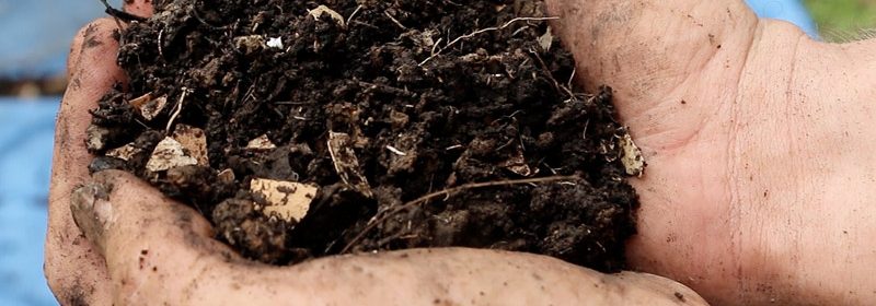 beautiful-sifted-compost