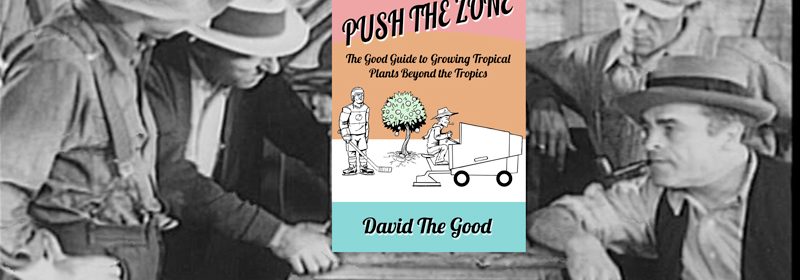 push-the-zone-thumbnail-image