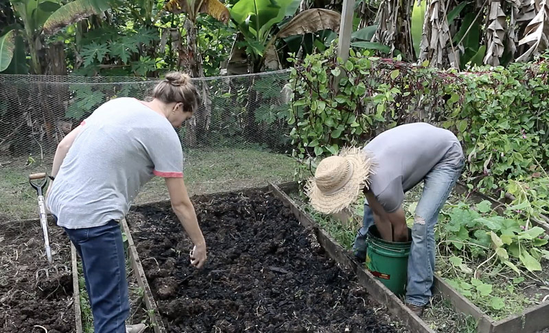 putting-biochar-and-compost-in-garden-beds