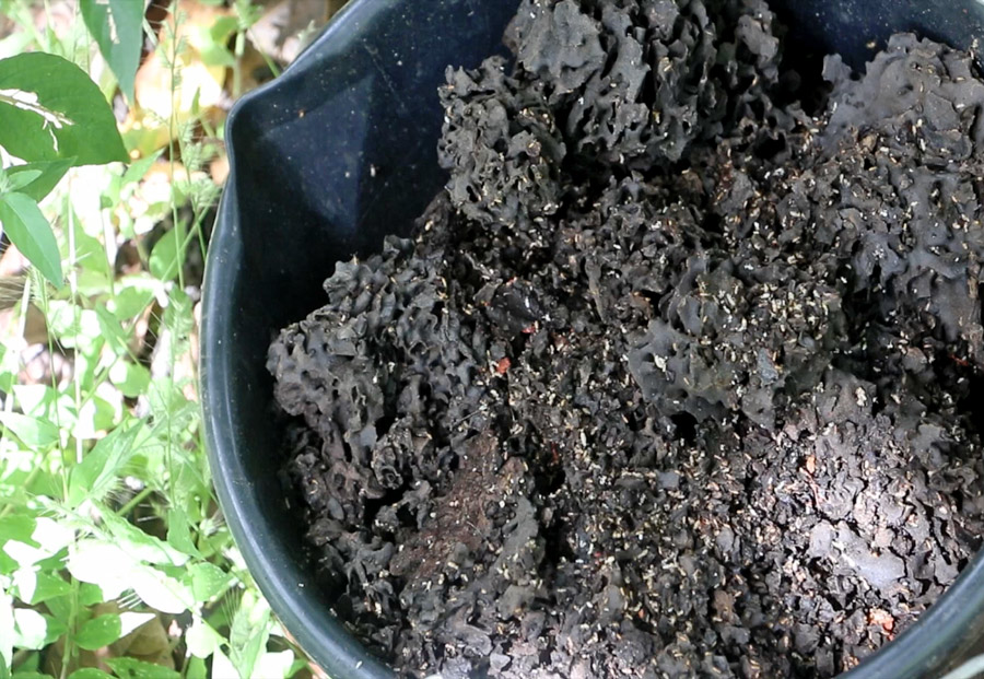 termite-nest-homemade-potting-soil