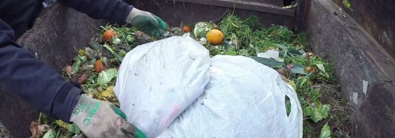 no-rules-compost-2