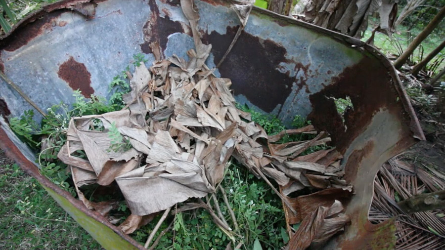 Galvanized-tub-compost-bin