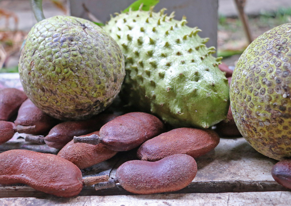soursop-stinking-toe-breadfruit
