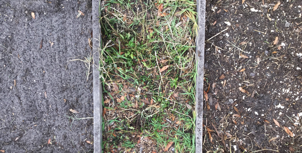 Which-bed-compost-in-the-garden