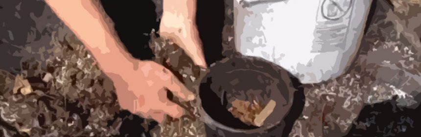 permaculture-plant-potting