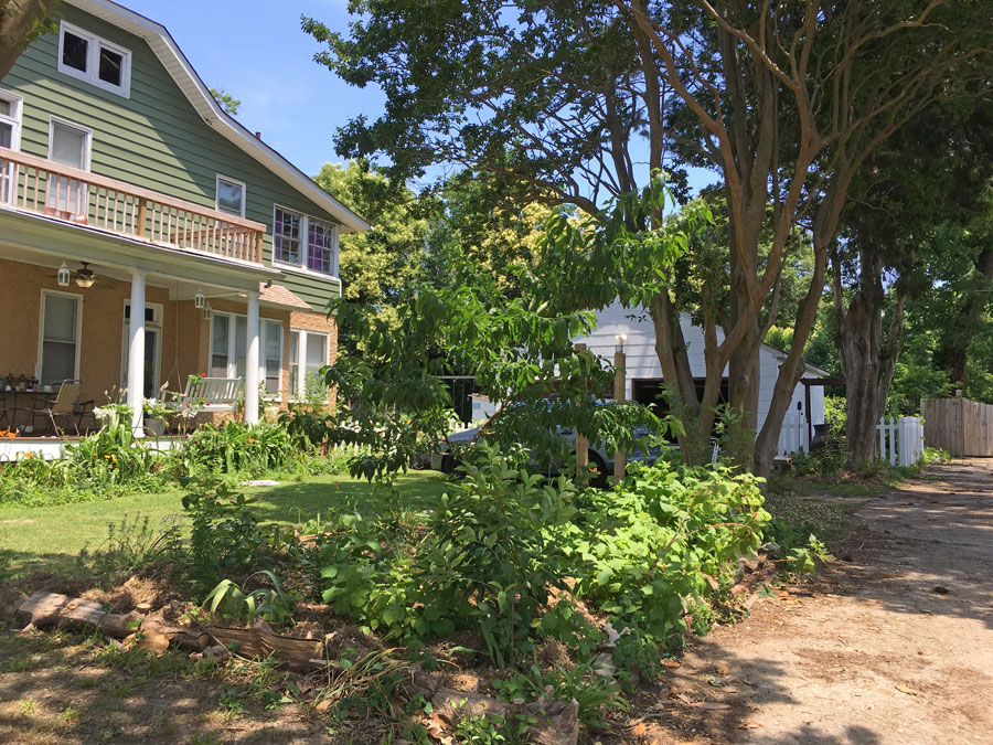 Virginia-gardening-back-of-house