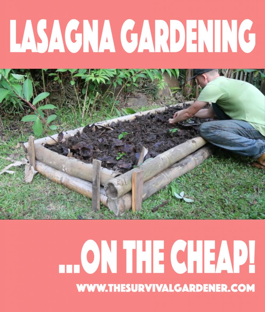 lasagna gardening