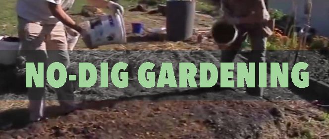 no dig gardening demonstration