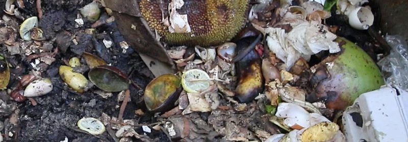 cooked-food-in-compost