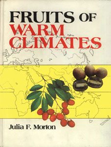 fruits of warm climates cover
