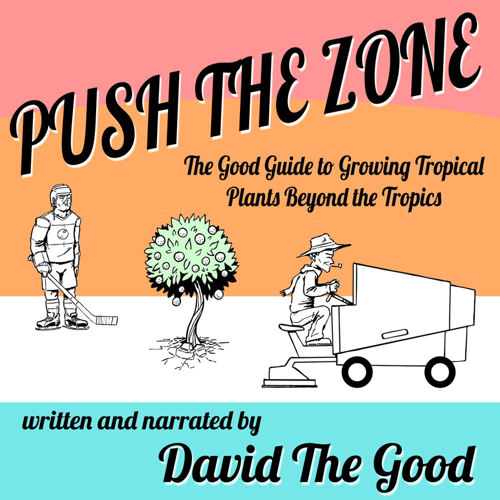 Push-the-Zone-itunes-cover