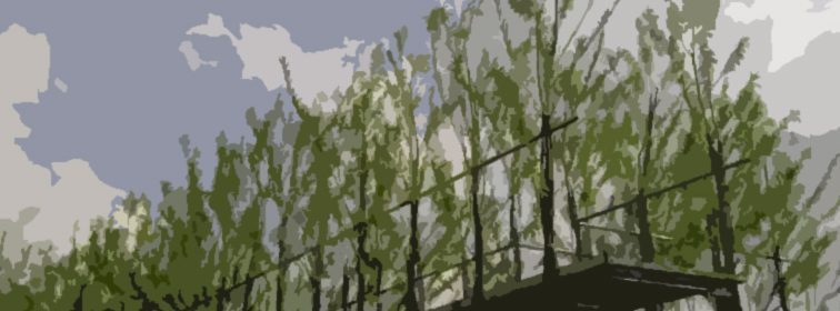 living-buildings