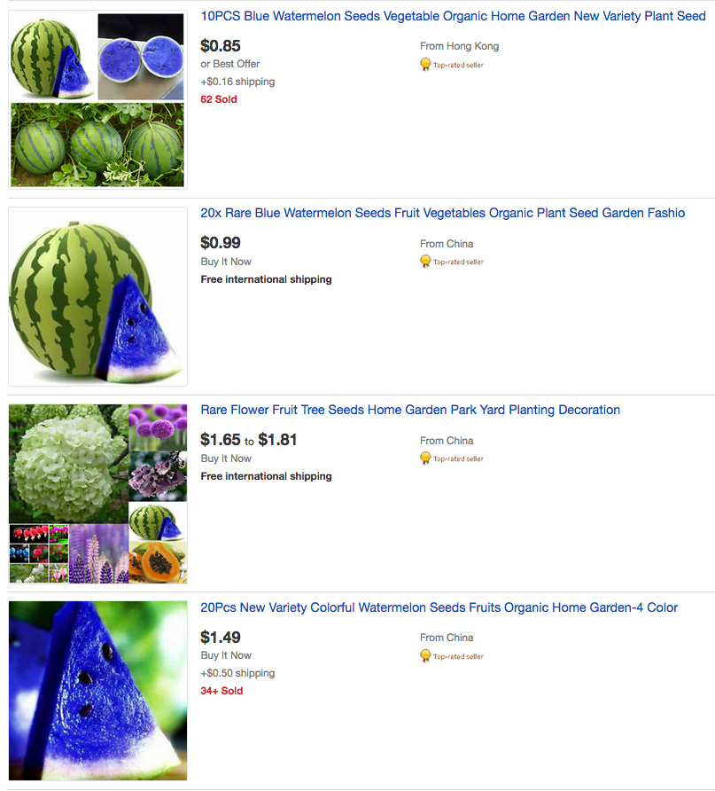 10pcs blue watermelon seeds fruit organic plant seeds 