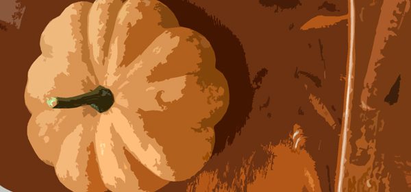 Seminole-pumpkin