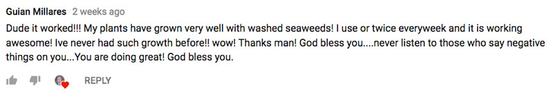 seaweed-comment