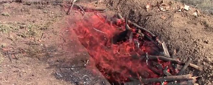 biochar-burn