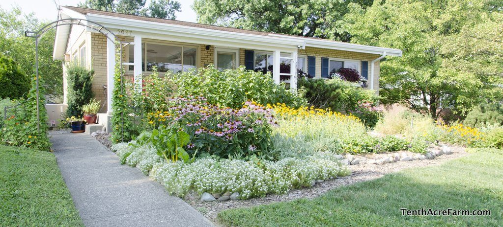 front yard edible landscaping amy stross