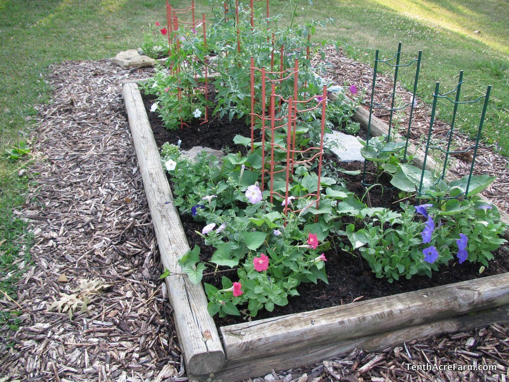 Amy Stross planted this bed in her neighbor's yard.