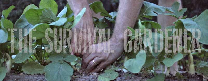The Survival Gardener